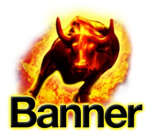 Banner Büffel